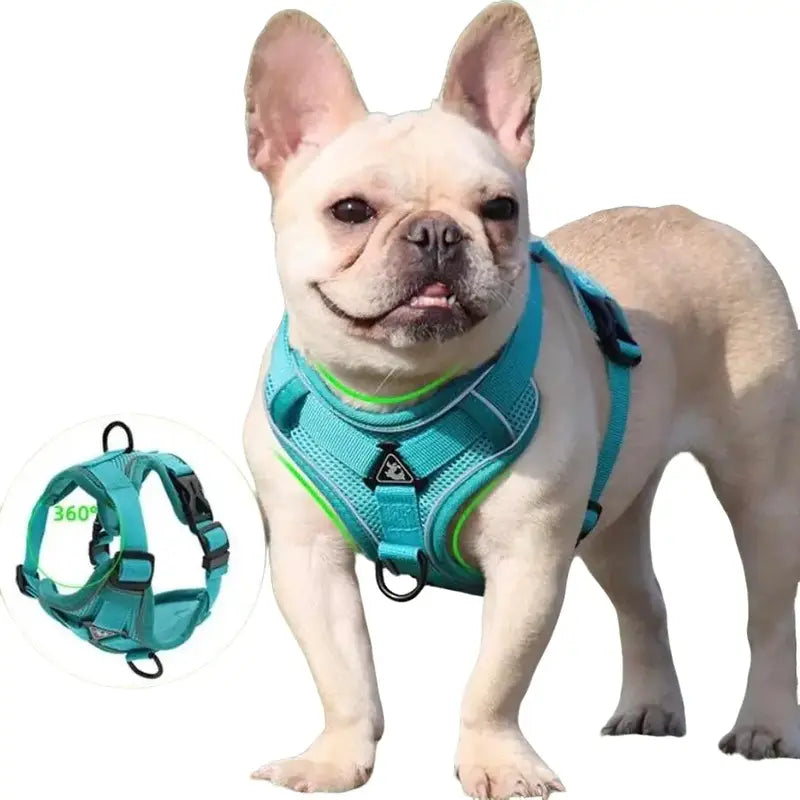 No Pull Dog Harness and Leash Set Adjustable Pet Harness Vest for Small Dogs Cats Reflective Mesh Dog Chest Strap