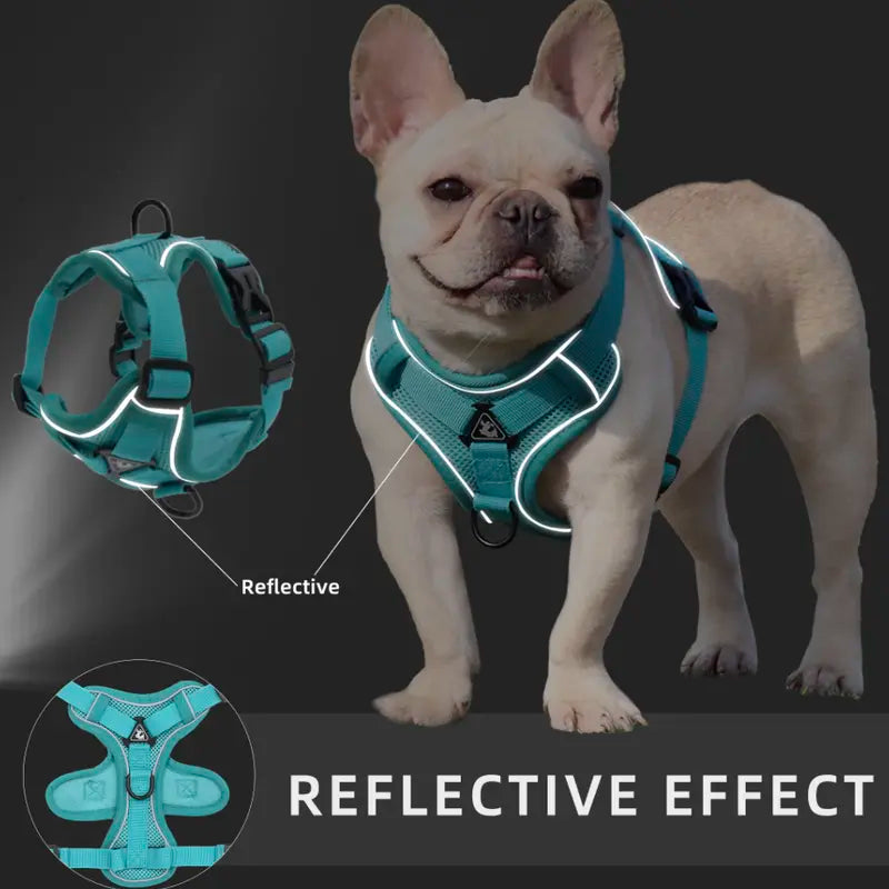No Pull Dog Harness and Leash Set Adjustable Pet Harness Vest for Small Dogs Cats Reflective Mesh Dog Chest Strap