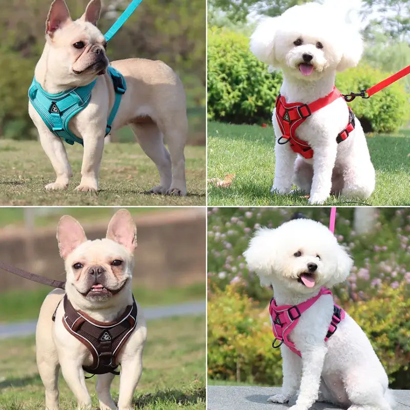 No Pull Dog Harness and Leash Set Adjustable Pet Harness Vest for Small Dogs Cats Reflective Mesh Dog Chest Strap