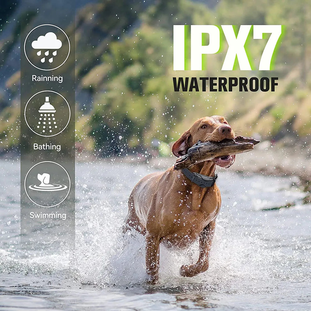 Remote 1.25 Mile Dog Training Collar