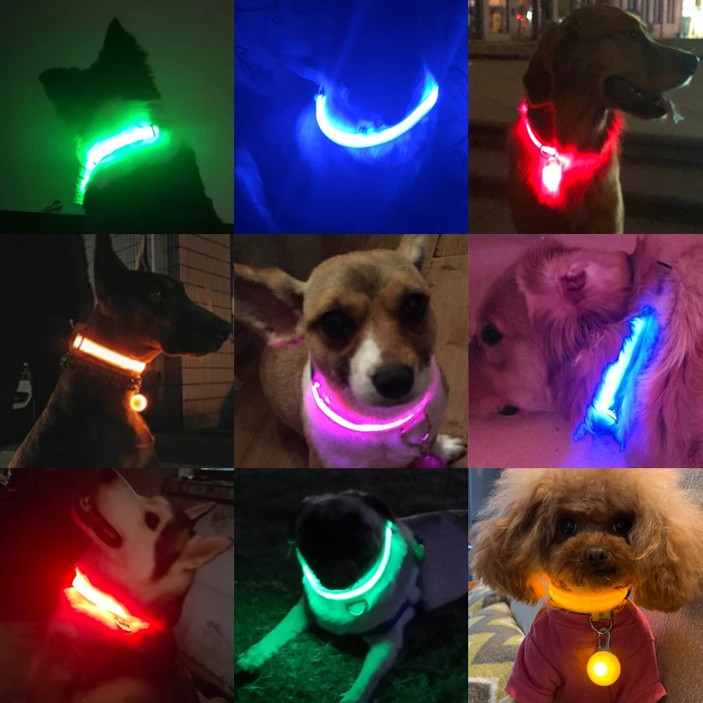 LED Dog Collar with USB Charging