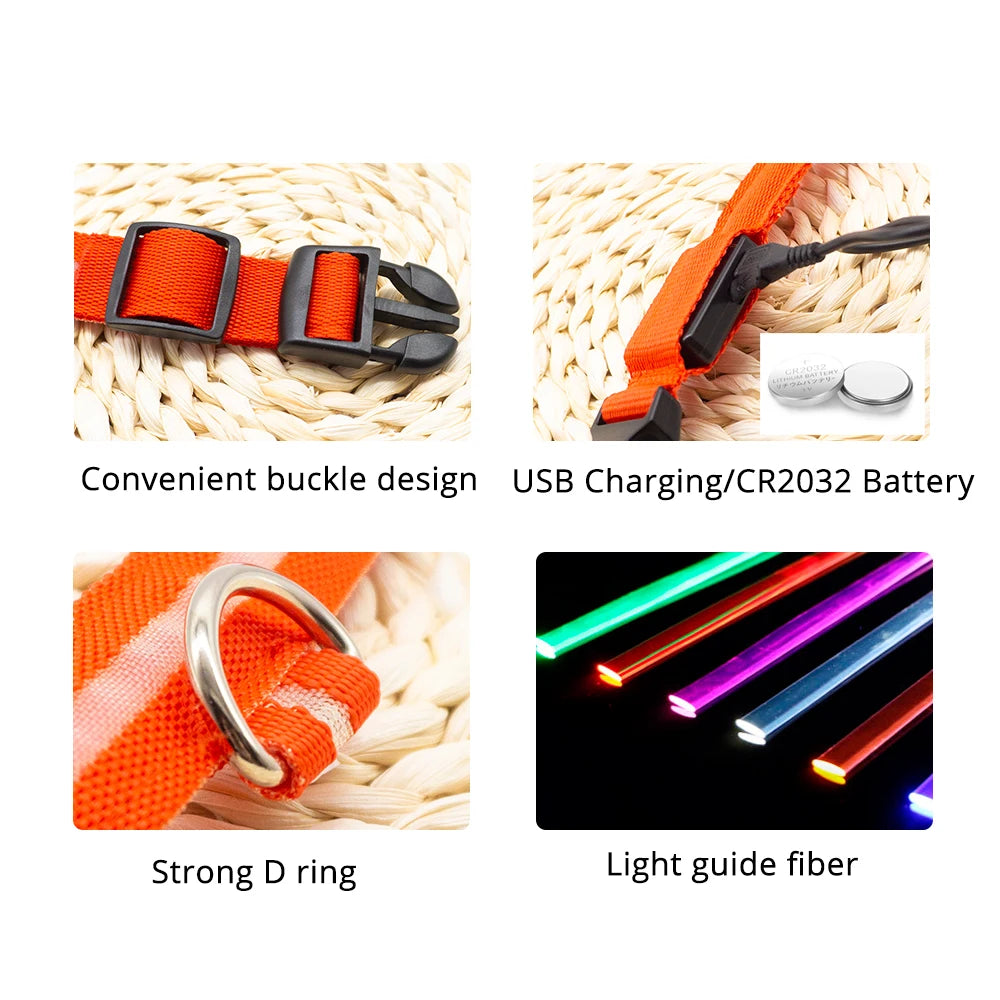 LED Dog Collar with USB Charging