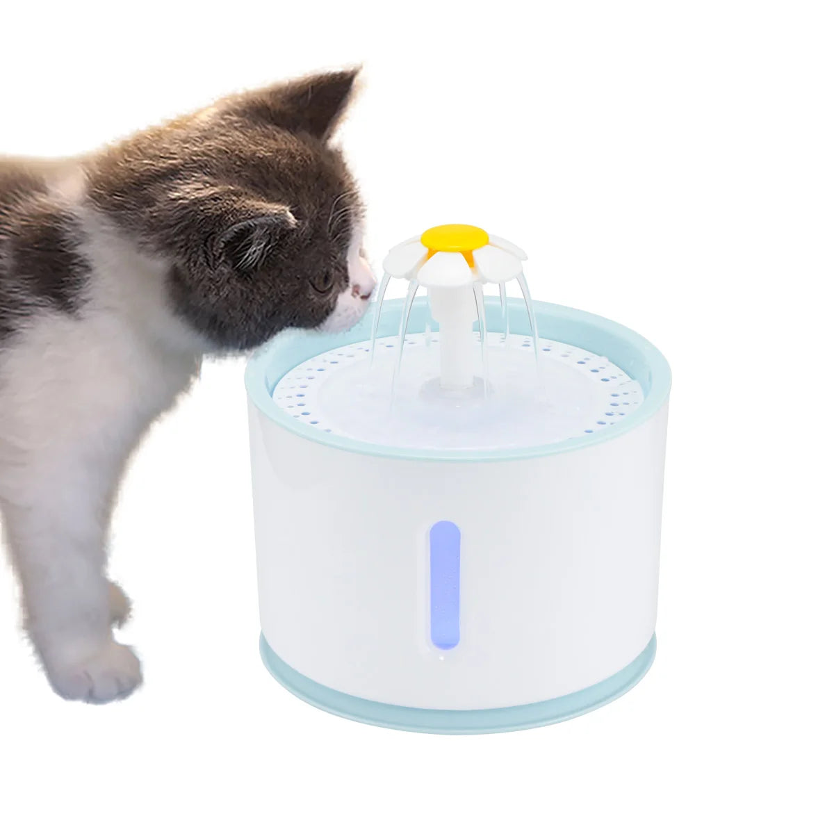 LED Automatic Dog Drinking Fountain