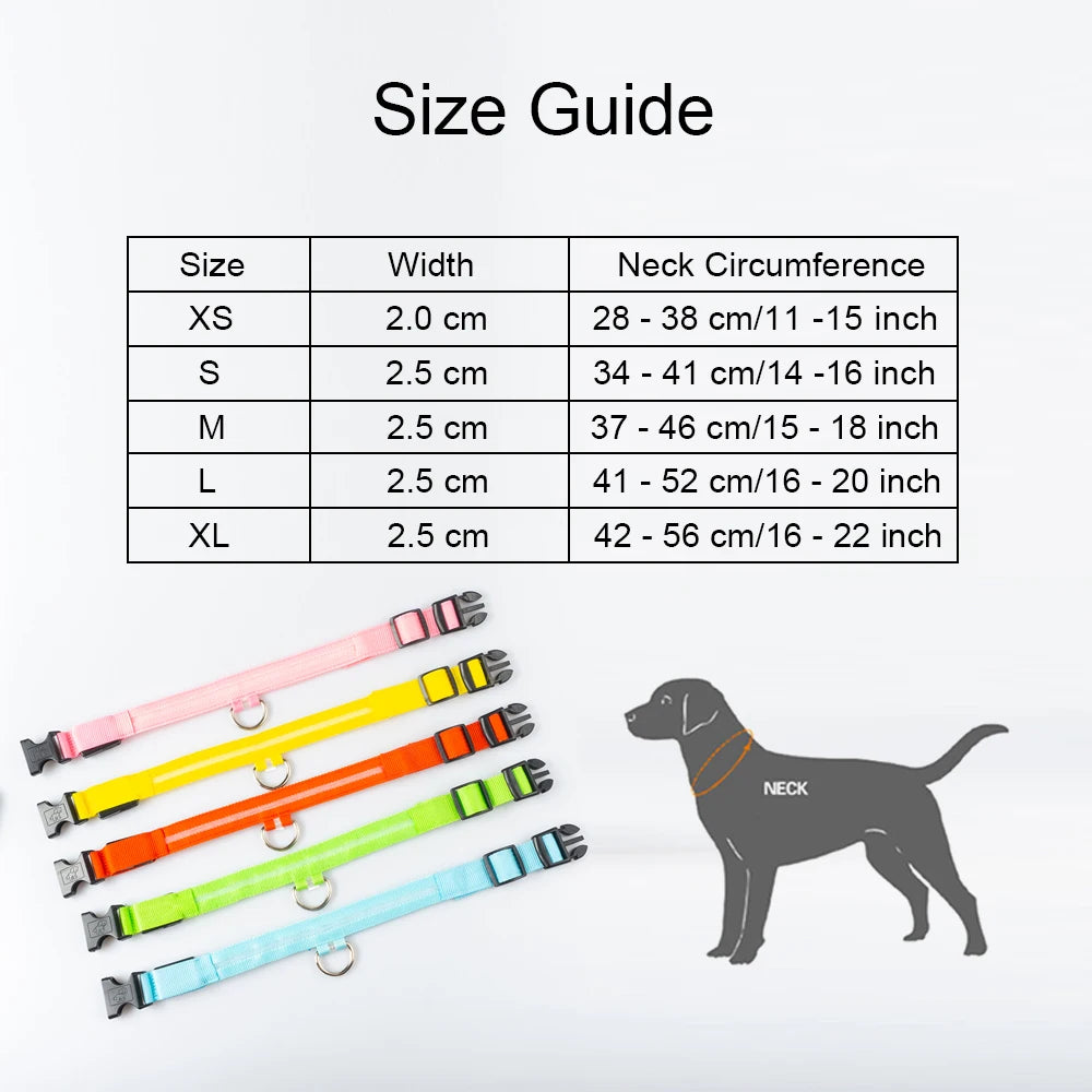 LED Dog Collar with USB Charging