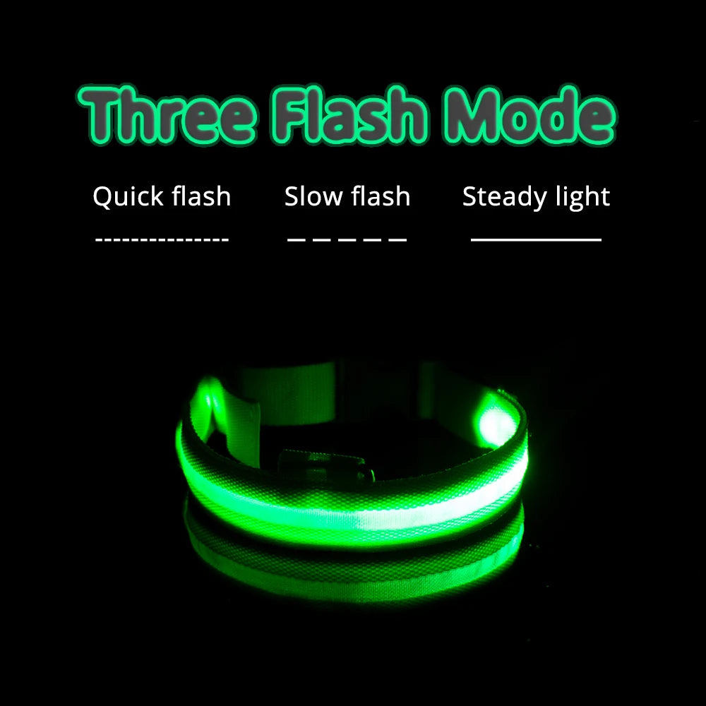LED Dog Collar with USB Charging