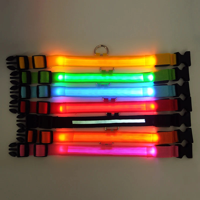 LED Nylon Dog Collar