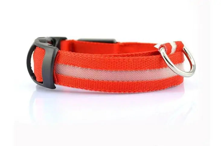 Nylon Dog Luminous Collar