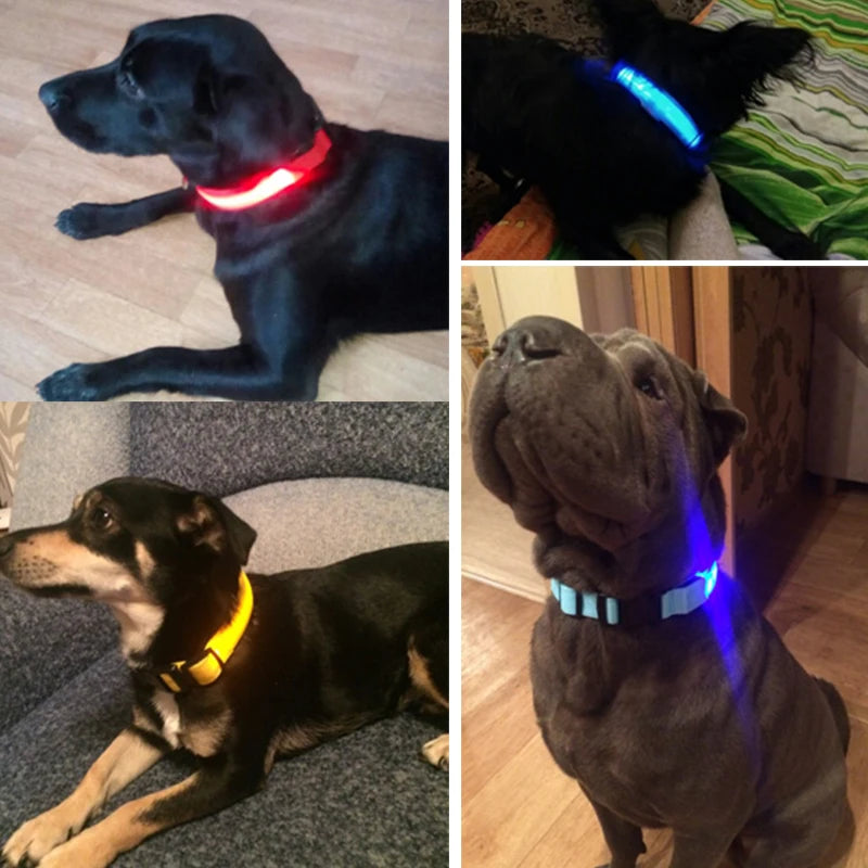 LED Nylon Dog Collar