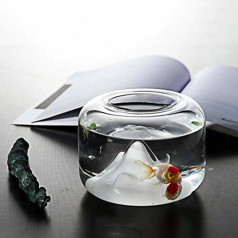 Compact Glass Desk Aquarium