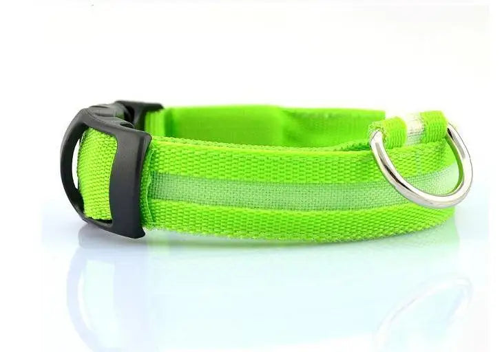 Nylon Dog Luminous Collar