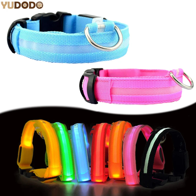 LED Nylon Dog Collar