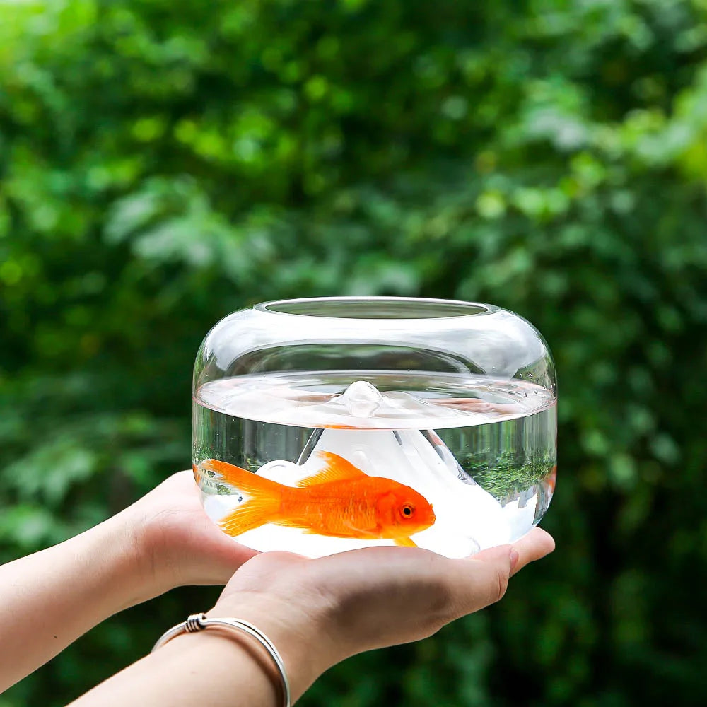 Compact Glass Desk Aquarium