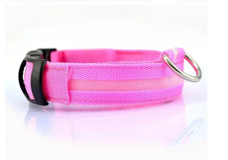 Nylon Dog Luminous Collar