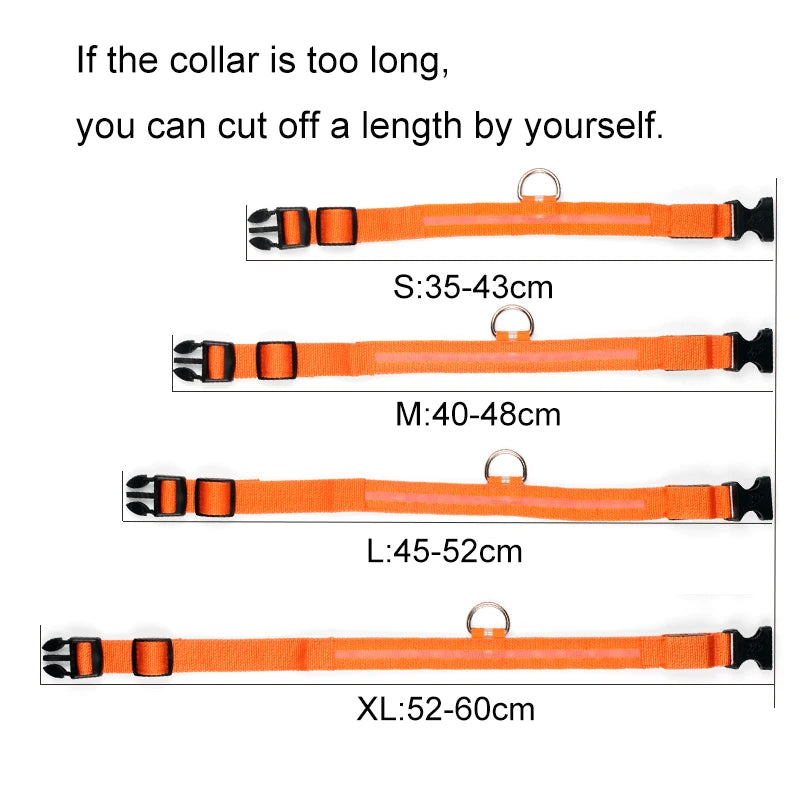 LED Nylon Dog Collar