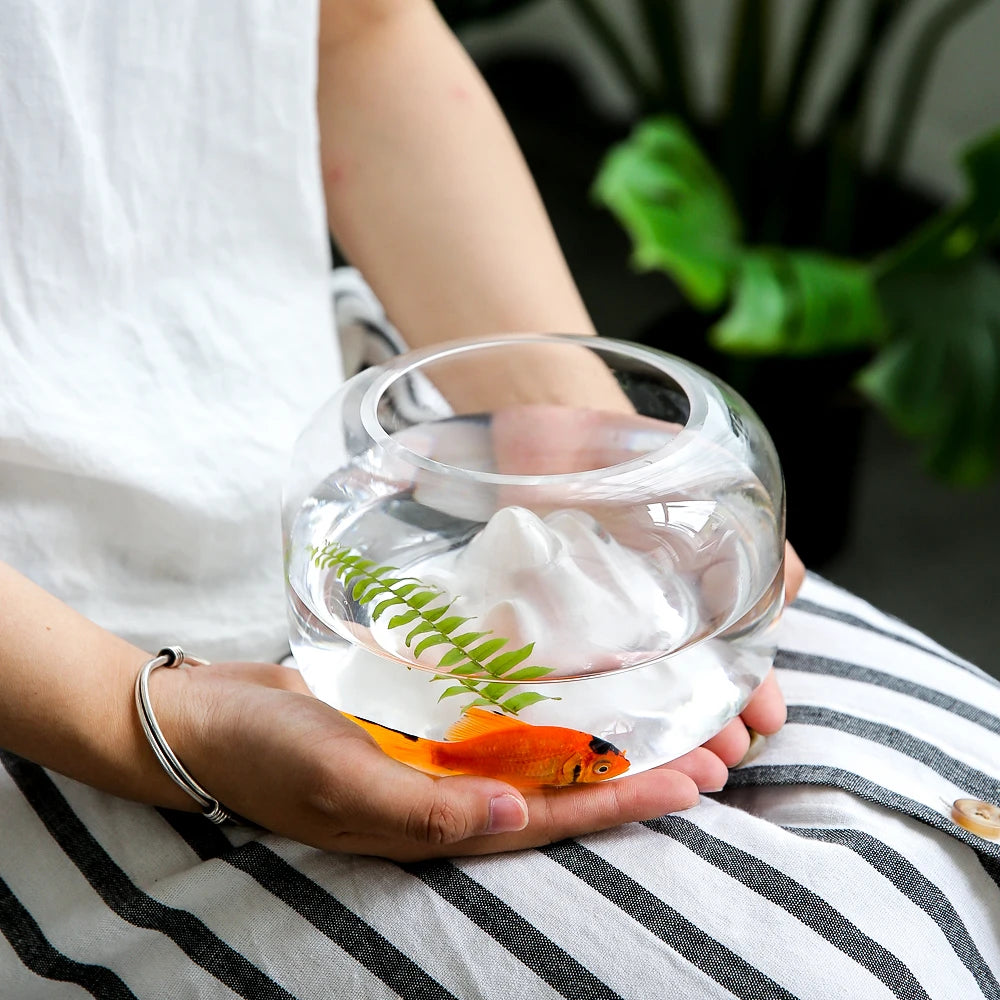 Compact Glass Desk Aquarium