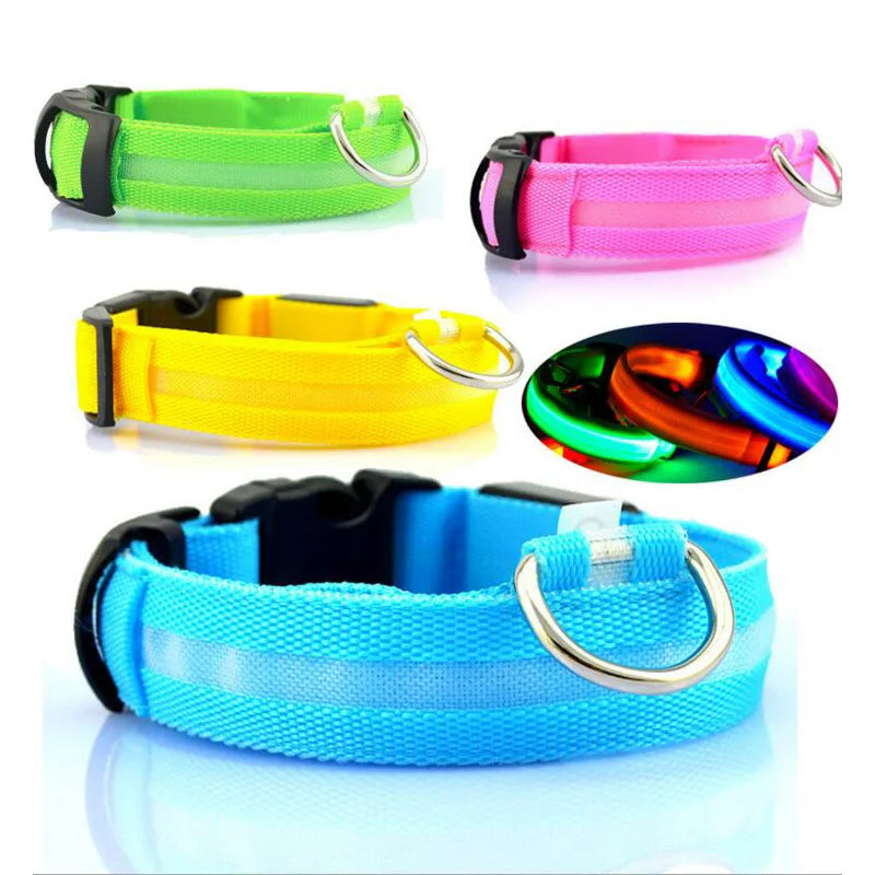 LED Nylon Dog Collar