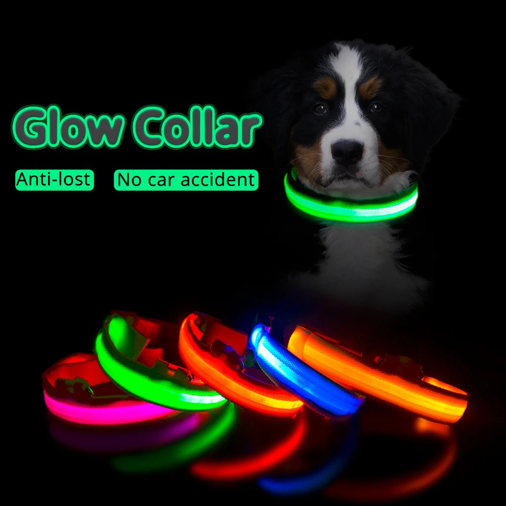 LED Dog Collar with USB Charging