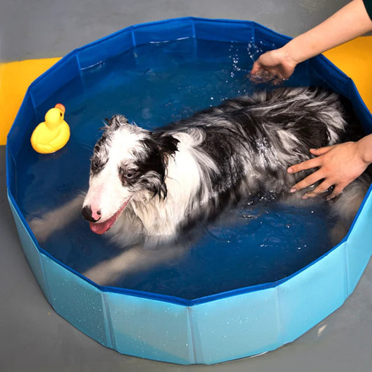 Dog Collapsible Bathtub