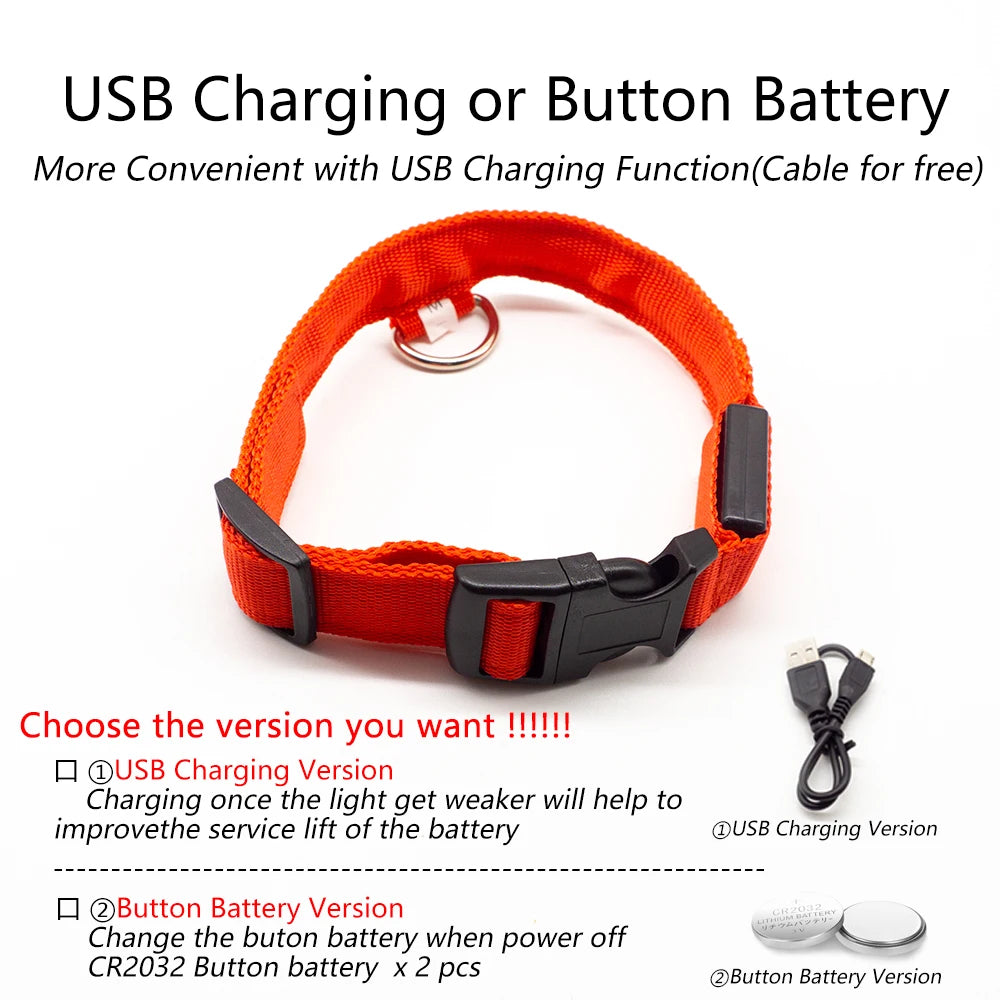 LED Dog Collar with USB Charging
