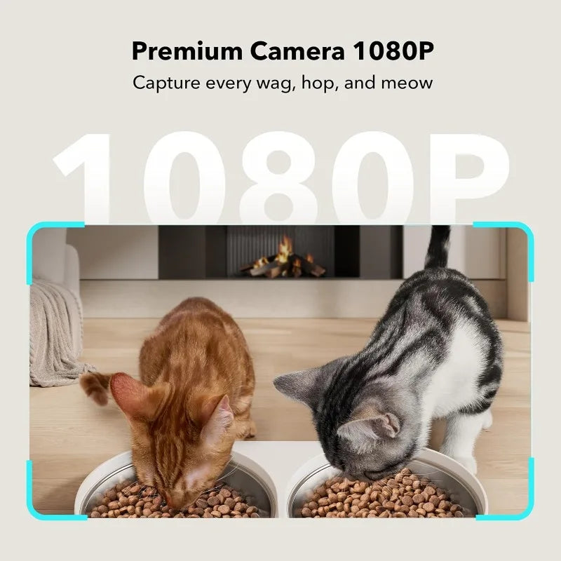 Automatic Cat Camera Feeder