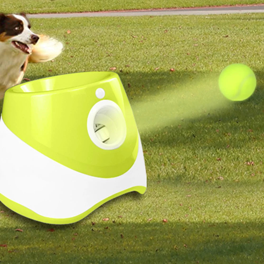 Dog Automatic Ball Launcher