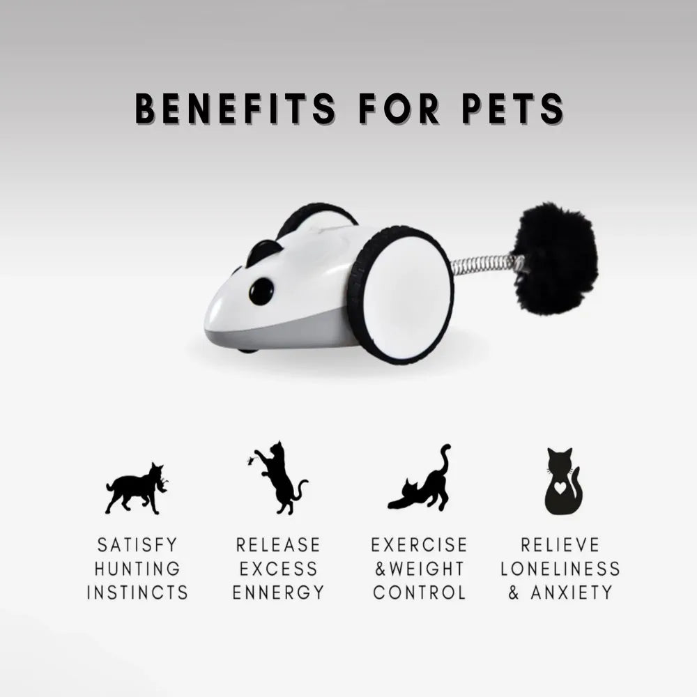 Instachew Purechase Smart Cat Toy