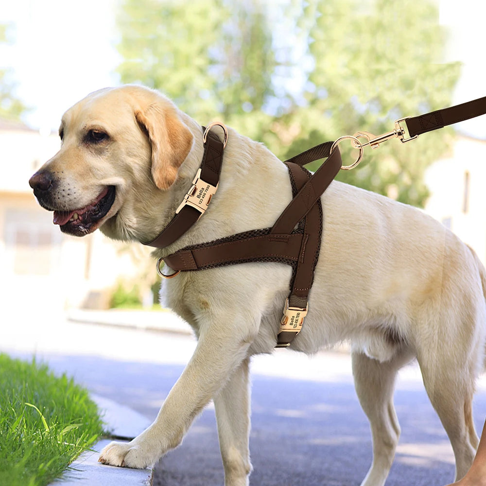Dog Collar Harness Leash Set