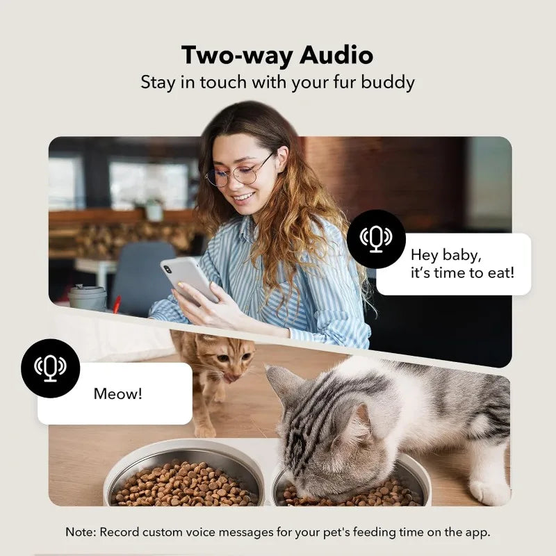 Automatic Cat Camera Feeder