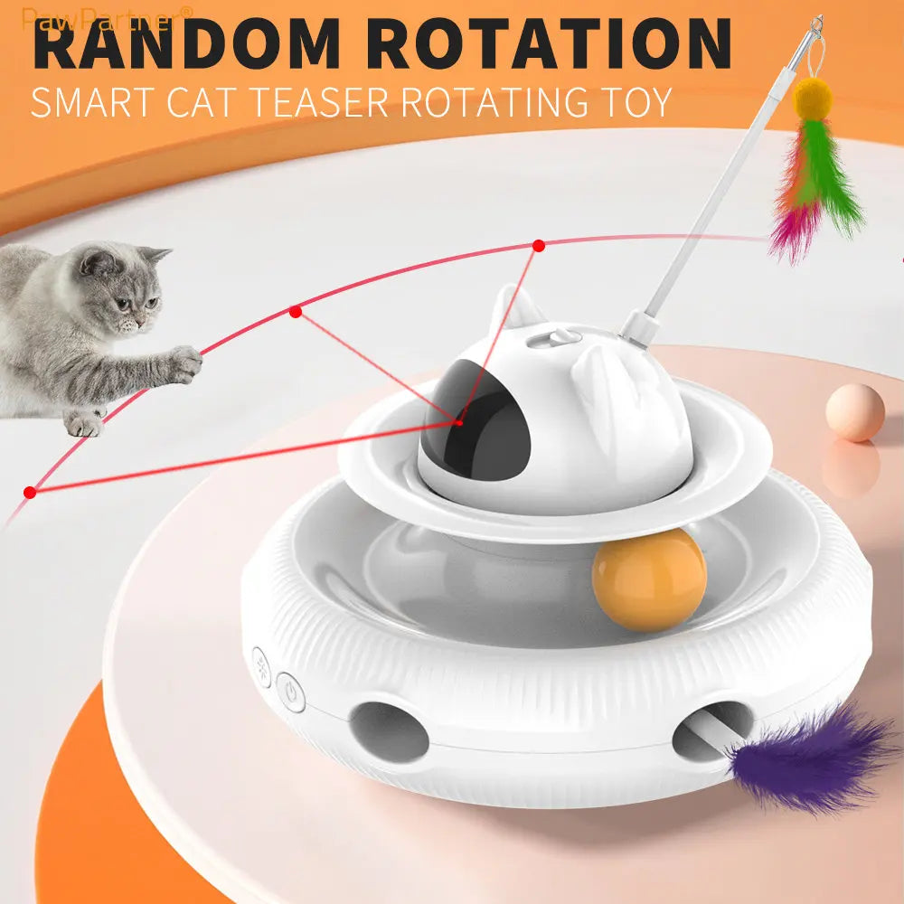 Cat Smart Teaser Toy