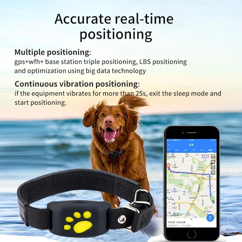 Dog GPS Tracking Collar