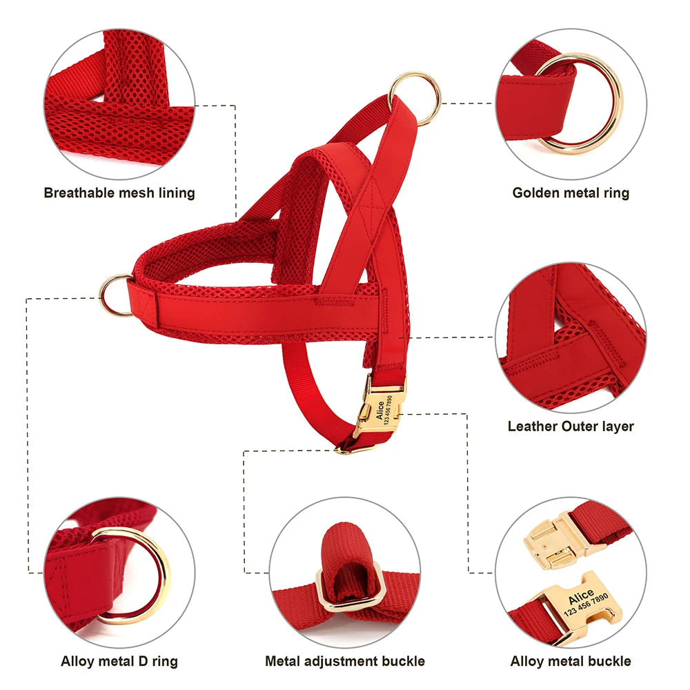 Dog Collar Harness Leash Set