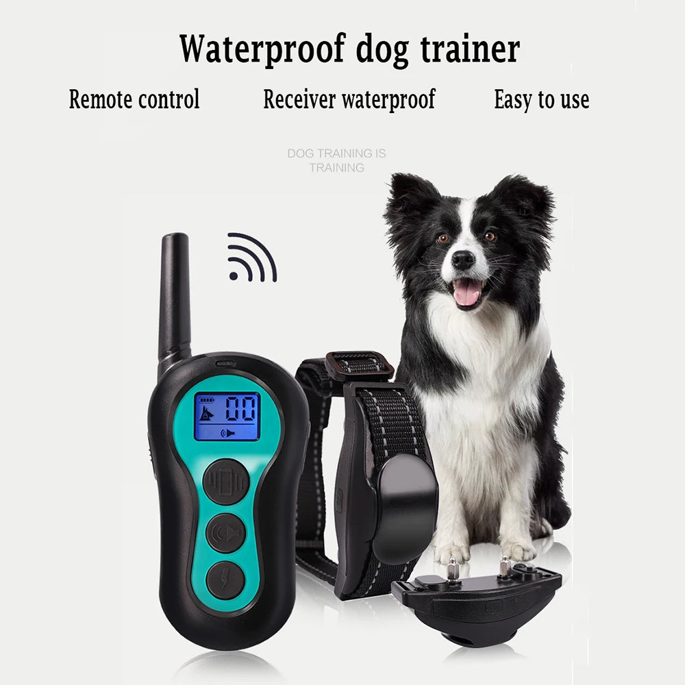 Remote Control Dog Training Device