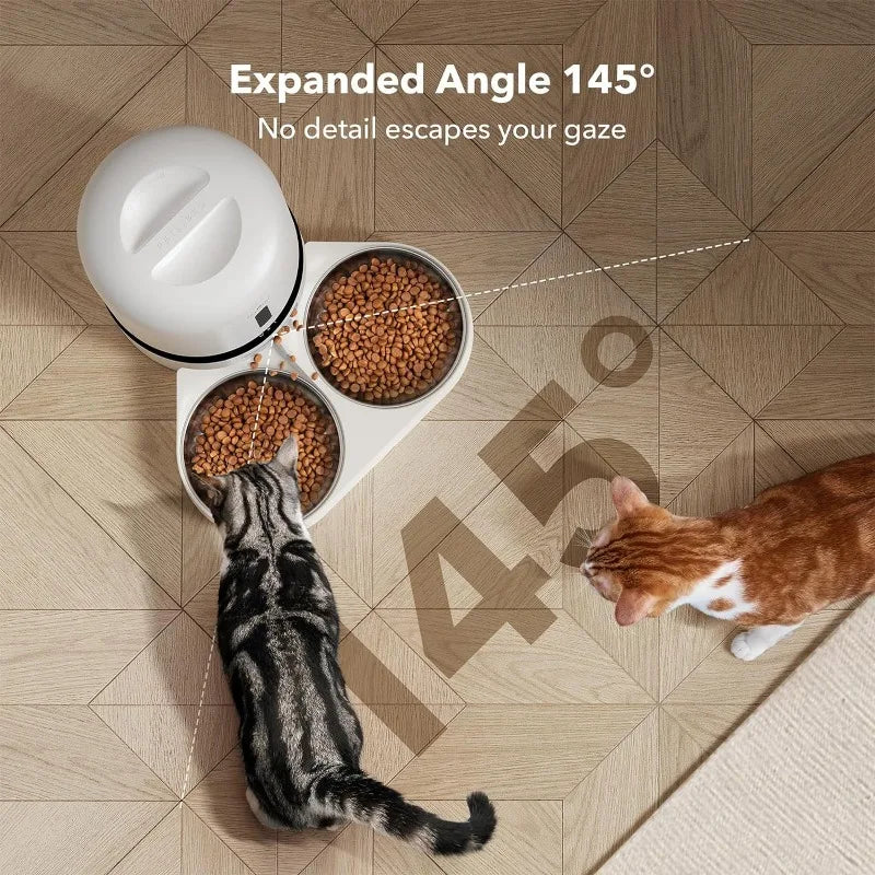 Automatic Cat Camera Feeder