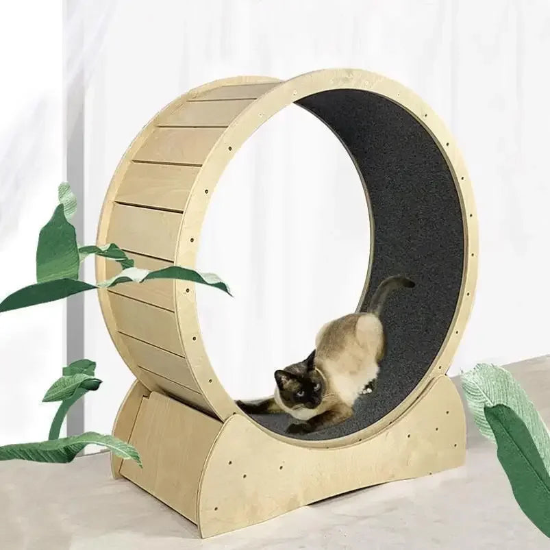 Cat Fitness Silent Pet Treadmill