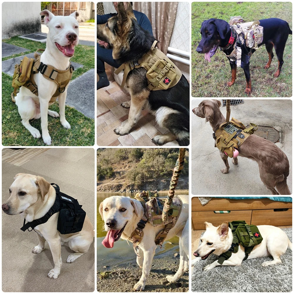 Military Dog Harness Leash Set