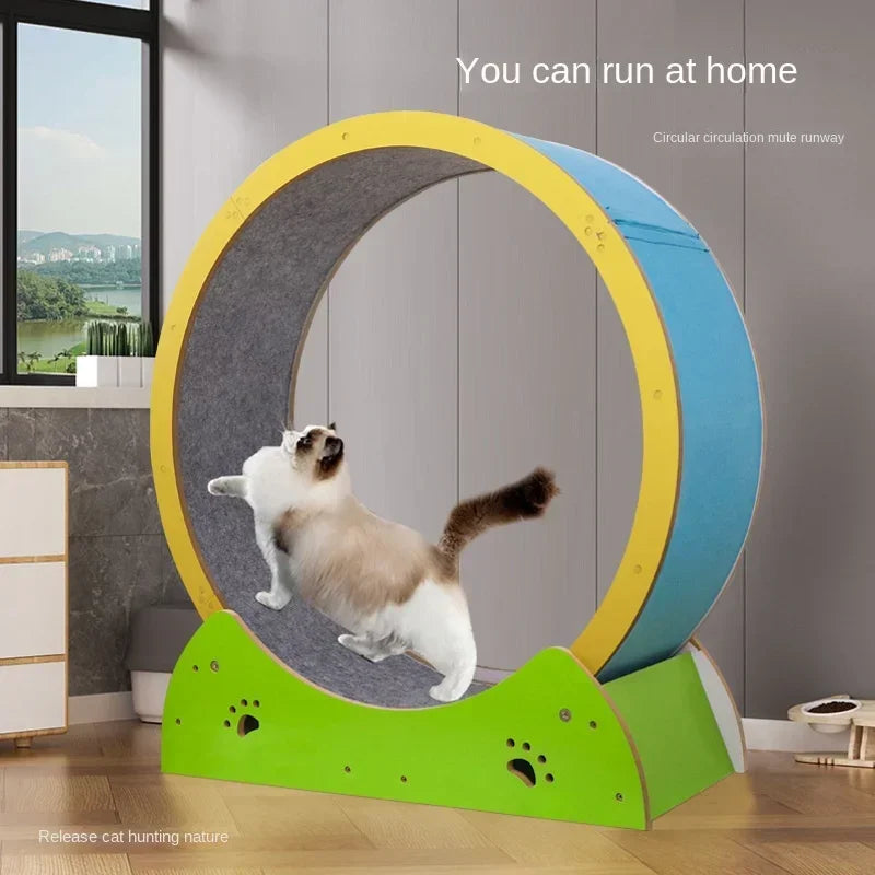 Cat Fitness Silent Pet Treadmill