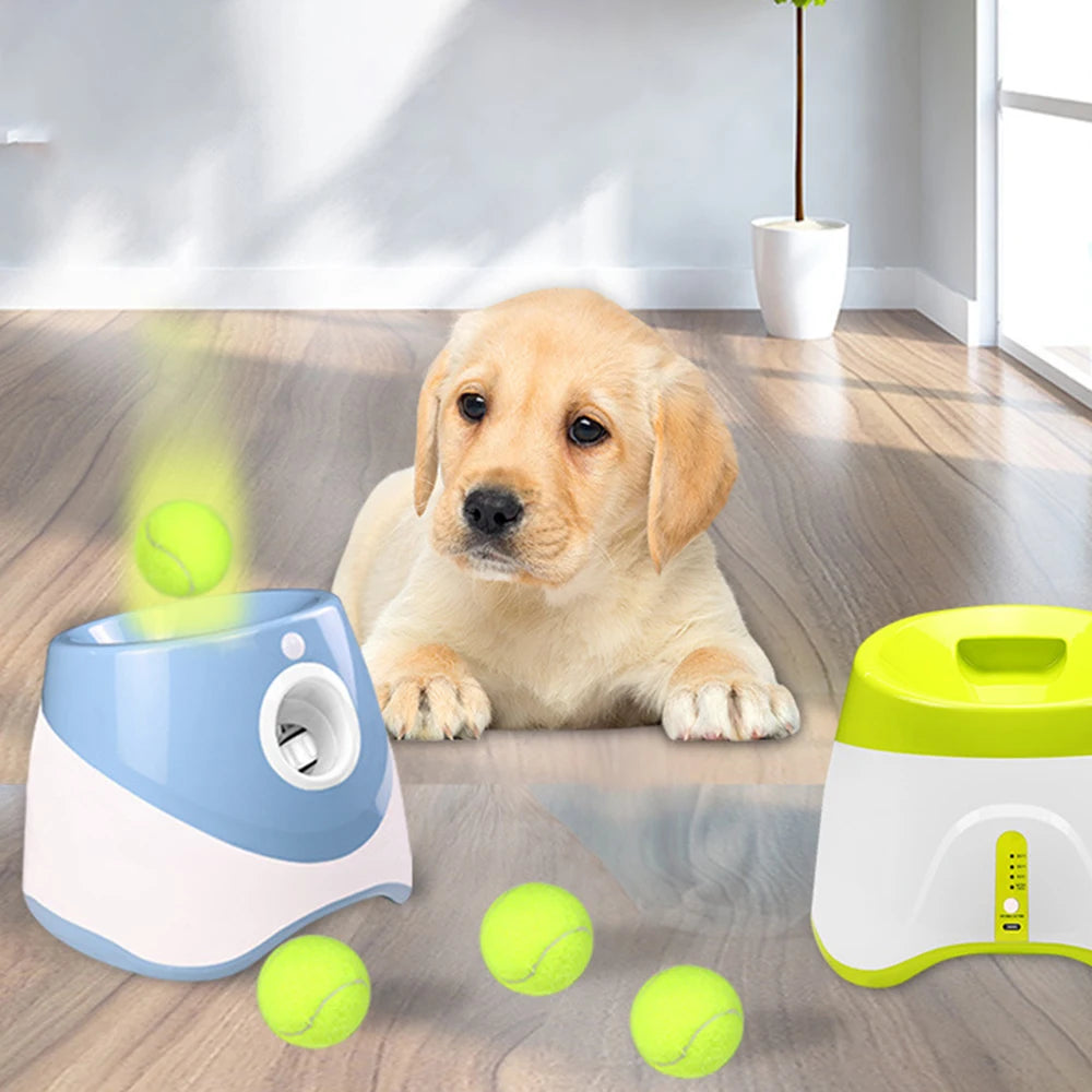 Dog Automatic Ball Launcher