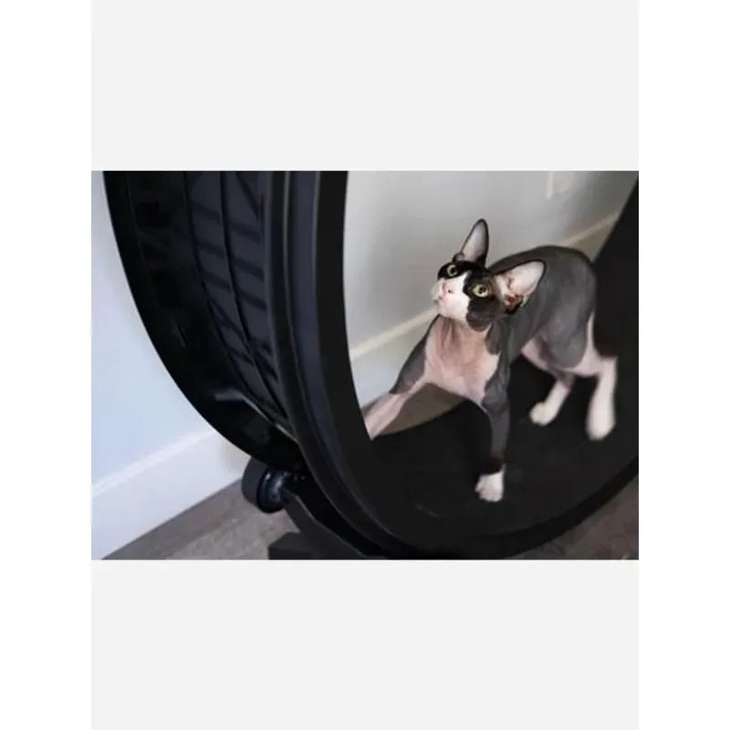 Pet Running Exercise Wheel Treadmill