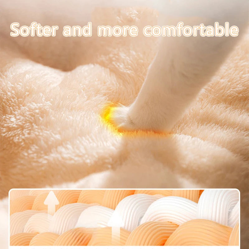 Luxurious Cat Bed with Detachable Pillow