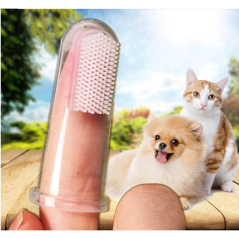 Teddy Finger Soft Toothbrush