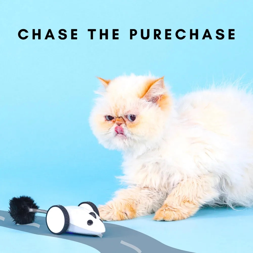 Instachew Purechase Smart Cat Toy
