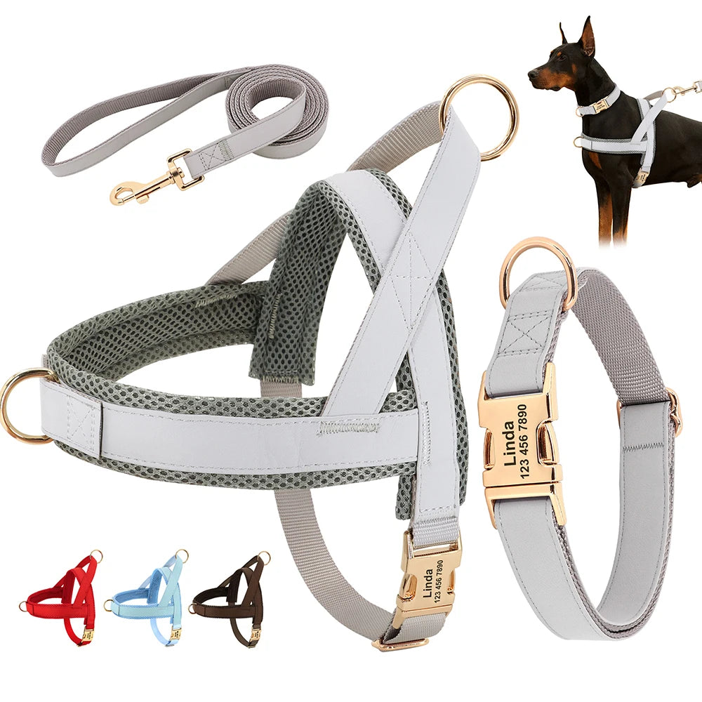 Dog Collar Harness Leash Set