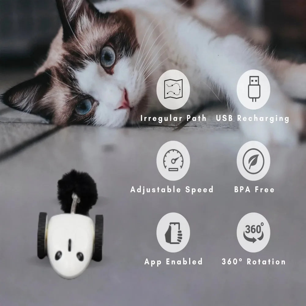 Instachew Purechase Smart Cat Toy