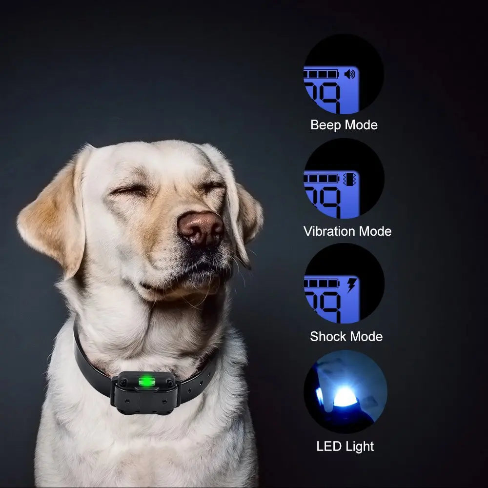 Dog Trainer Shock Collar