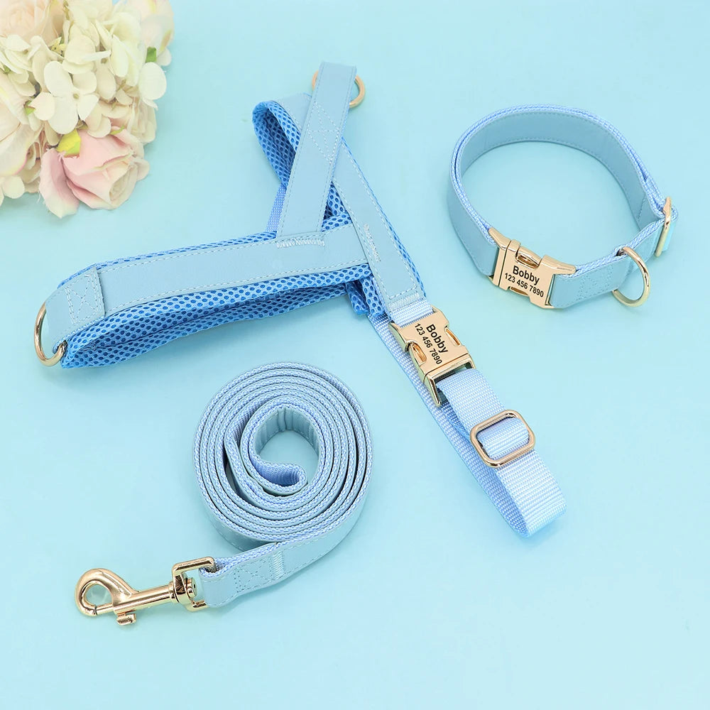 Dog Collar Harness Leash Set