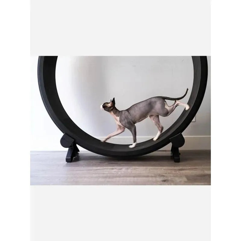 Pet Running Exercise Wheel Treadmill