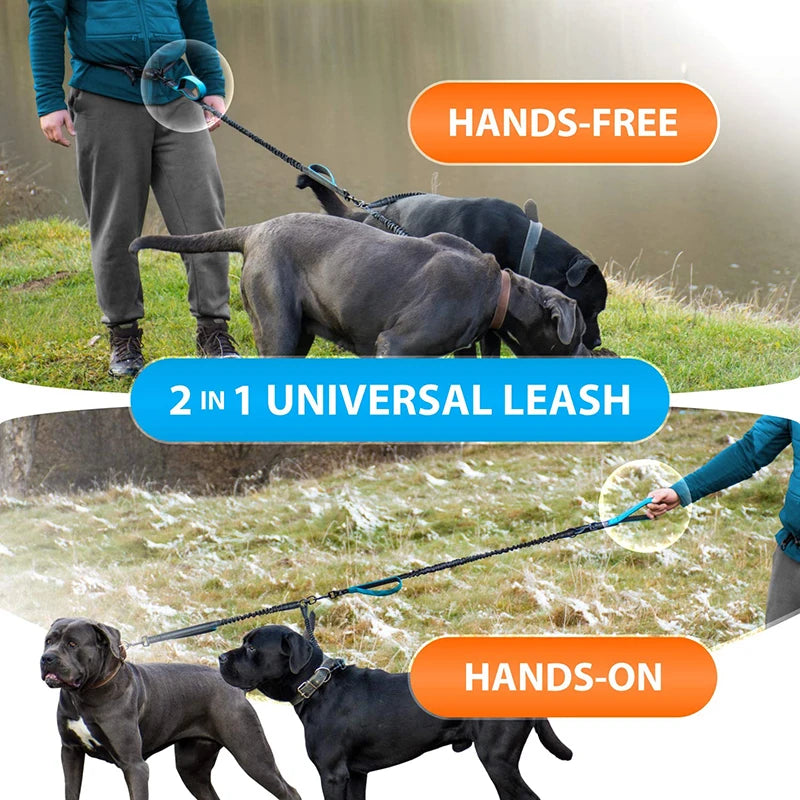 Strong Hands Free Double Dog Leash
