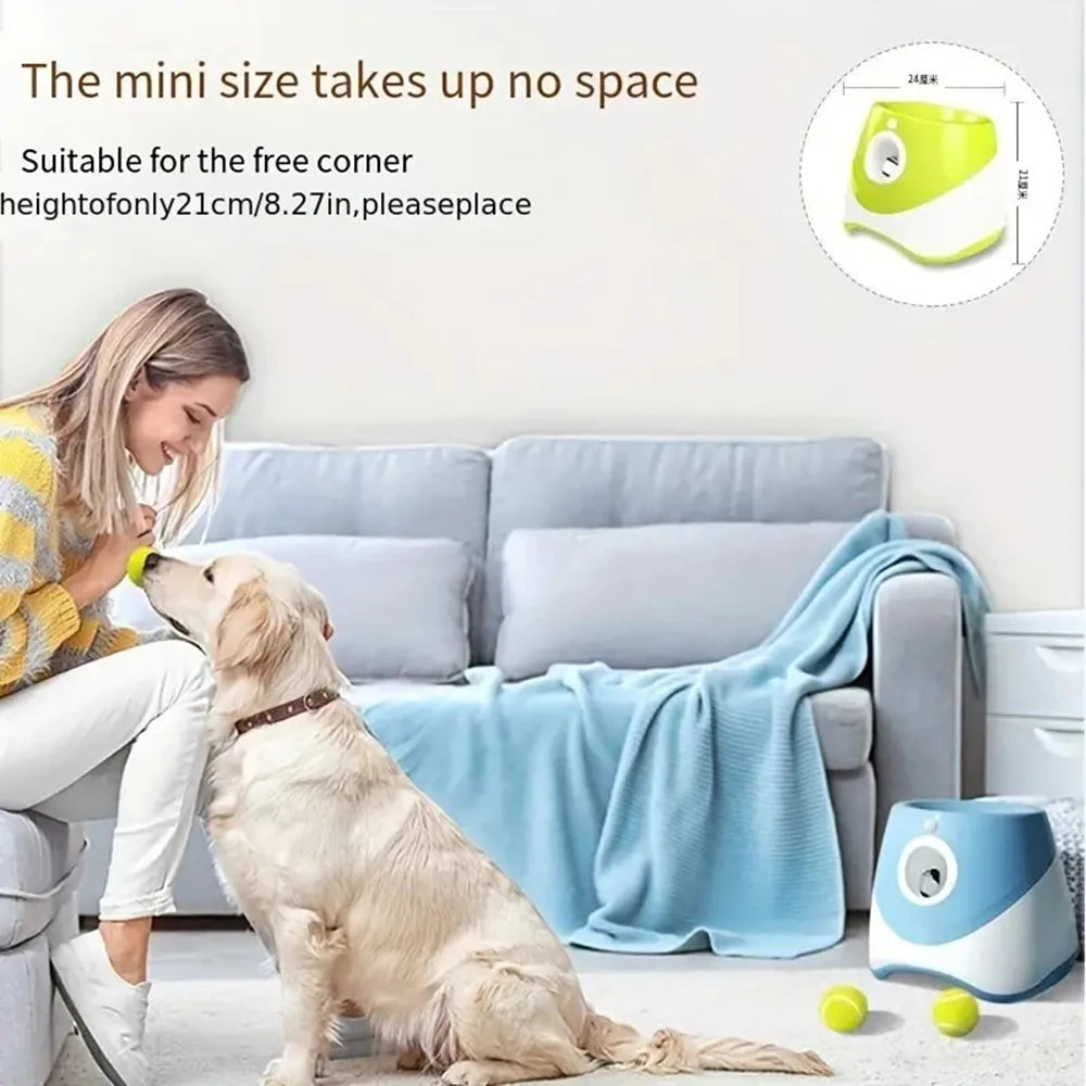 Dog Automatic Ball Launcher