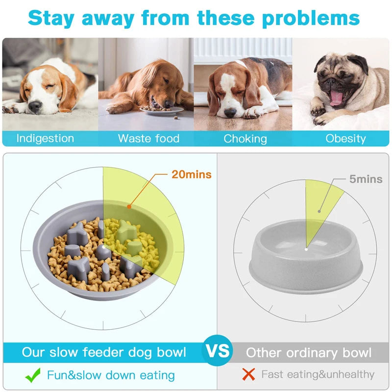 Stainless Steel Double Dog Bowl