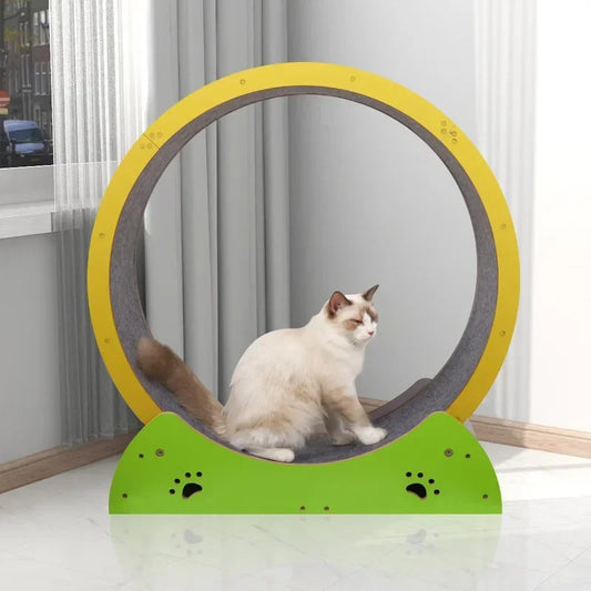 Cat Fitness Silent Pet Treadmill